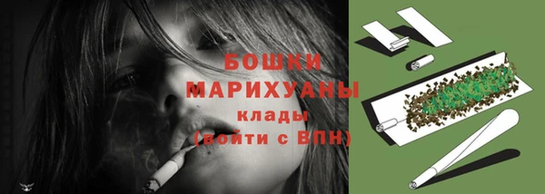 соль ск Ладушкин