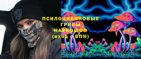 прущие крисы Магадан